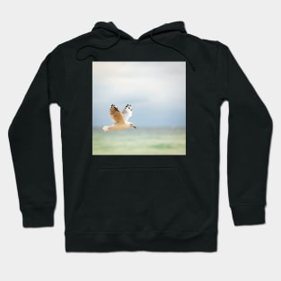 Seagull Flying Over Ocean Hoodie